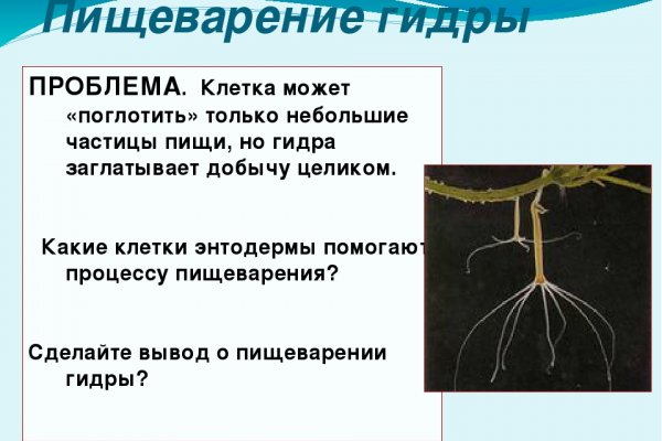 Актуальные ссылки кракен на 2025