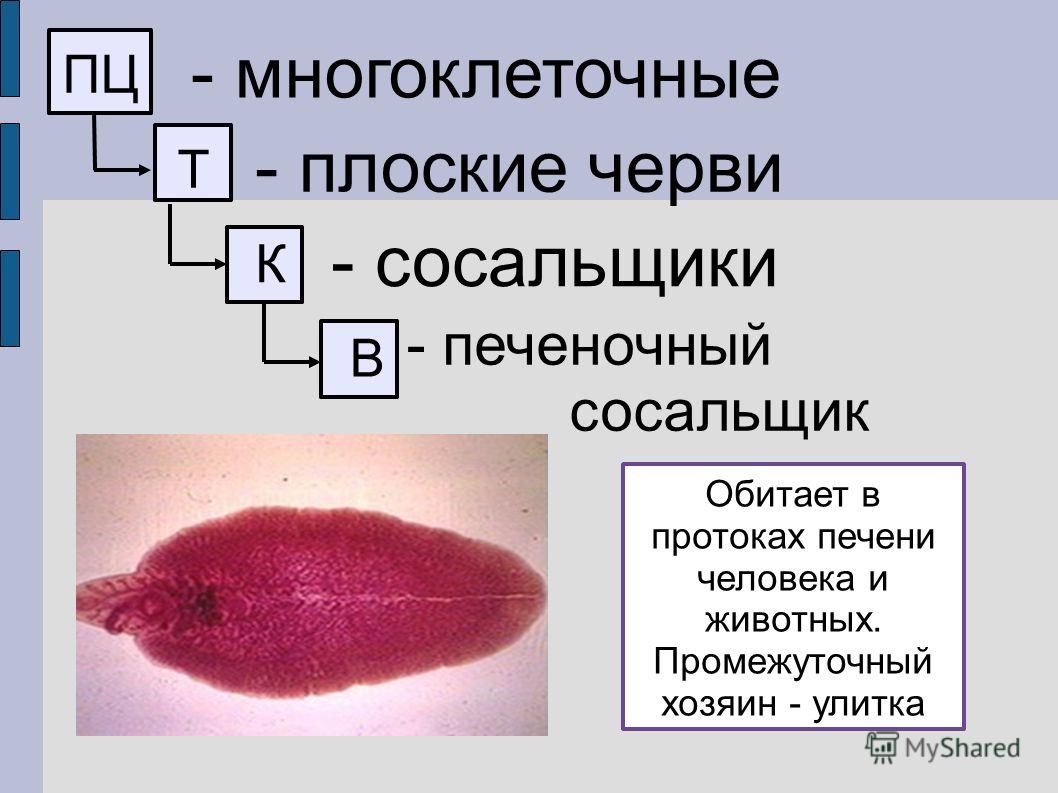 Не могу зайти на кракен