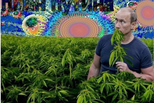 Что продают на сайте кракен